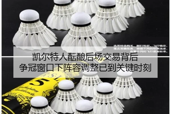 凯尔特人酝酿后场交易背后 争冠窗口下阵容调整已到关键时刻 - dbzhenren